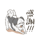 ざっちゃ（個別スタンプ：1）