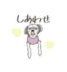 ざっちゃ（個別スタンプ：11）