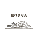 ざっちゃ（個別スタンプ：13）