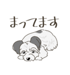 ざっちゃ（個別スタンプ：14）