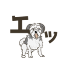 ざっちゃ（個別スタンプ：21）