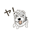 ざっちゃ（個別スタンプ：23）