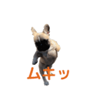 子犬のフレンチブルドックのスタンプ（個別スタンプ：23）