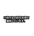 テレビでよく見るアレやコレ（個別スタンプ：19）