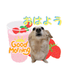 アンくんのスタンプ☆☆（個別スタンプ：1）