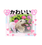 アンくんのスタンプ☆☆（個別スタンプ：13）