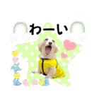アンくんのスタンプ☆☆（個別スタンプ：14）