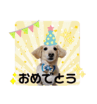 アンくんのスタンプ☆☆（個別スタンプ：20）