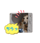 アンくんのスタンプ☆☆（個別スタンプ：24）