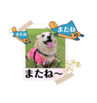 アンくんのスタンプ☆☆（個別スタンプ：27）