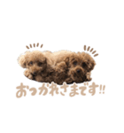 ロック、ピース、レア（個別スタンプ：4）