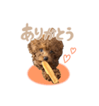 ロック、ピース、レア（個別スタンプ：7）