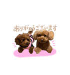 ロック、ピース、レア（個別スタンプ：8）
