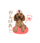 ロック、ピース、レア（個別スタンプ：10）