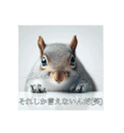 risudes（個別スタンプ：5）