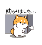 飛び出す♪お返事シバイヌくん 丁寧敬語ver（個別スタンプ：16）