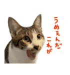 うずめの毎日2（個別スタンプ：2）
