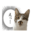 うずめの毎日2（個別スタンプ：3）