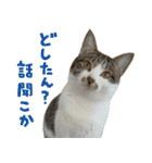 うずめの毎日2（個別スタンプ：5）