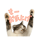 うずめの毎日2（個別スタンプ：8）