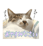 うずめの毎日2（個別スタンプ：9）