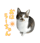 うずめの毎日2（個別スタンプ：10）