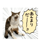 うずめの毎日2（個別スタンプ：11）