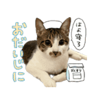 うずめの毎日2（個別スタンプ：12）