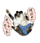 うずめの毎日2（個別スタンプ：13）