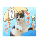 うずめの毎日2（個別スタンプ：14）