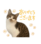 うずめの毎日2（個別スタンプ：20）