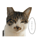 うずめの毎日2（個別スタンプ：21）
