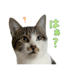 うずめの毎日2（個別スタンプ：27）