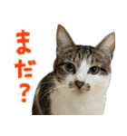 うずめの毎日2（個別スタンプ：28）