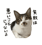 うずめの毎日2（個別スタンプ：31）