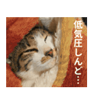 うずめの毎日2（個別スタンプ：33）