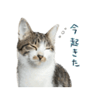 うずめの毎日2（個別スタンプ：34）