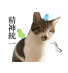 うずめの毎日2（個別スタンプ：38）