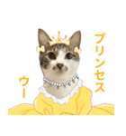 うずめの毎日2（個別スタンプ：39）