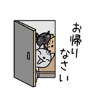 毎日使ってーサバトラ (敬語)（個別スタンプ：32）