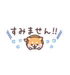 ころころ柴犬 スリムな敬語！（個別スタンプ：22）