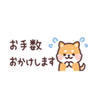 ころころ柴犬 スリムな敬語！（個別スタンプ：24）