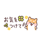 ころころ柴犬 スリムな敬語！（個別スタンプ：38）