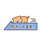 ころころ柴犬 スリムな敬語！（個別スタンプ：39）