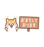 ころころ柴犬 スリムな敬語！（個別スタンプ：40）