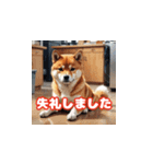 敬語の柴犬A（個別スタンプ：13）