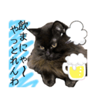 黒猫 ルナ院長146にゃんめ（個別スタンプ：4）