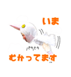 ハートフルずのハットする日常スタンプ①（個別スタンプ：10）
