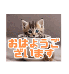 可愛い子猫のマグカップスタンプ（個別スタンプ：1）