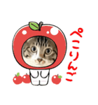 飛ぶぜ！きゃろん！（個別スタンプ：17）